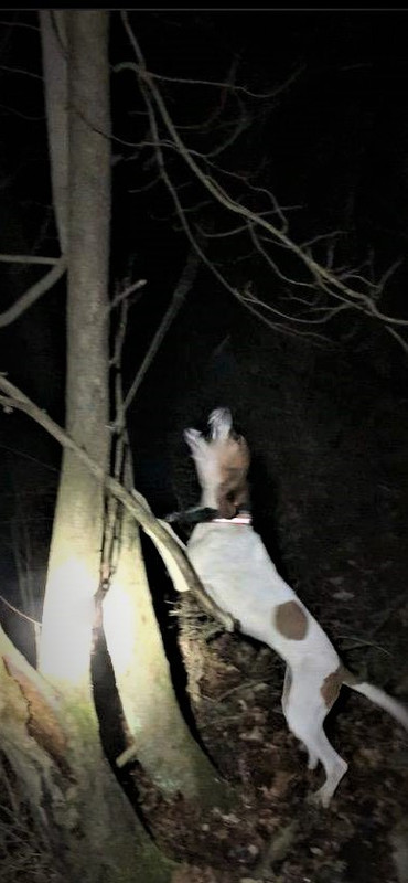 Resized_IMG_4021 (1)