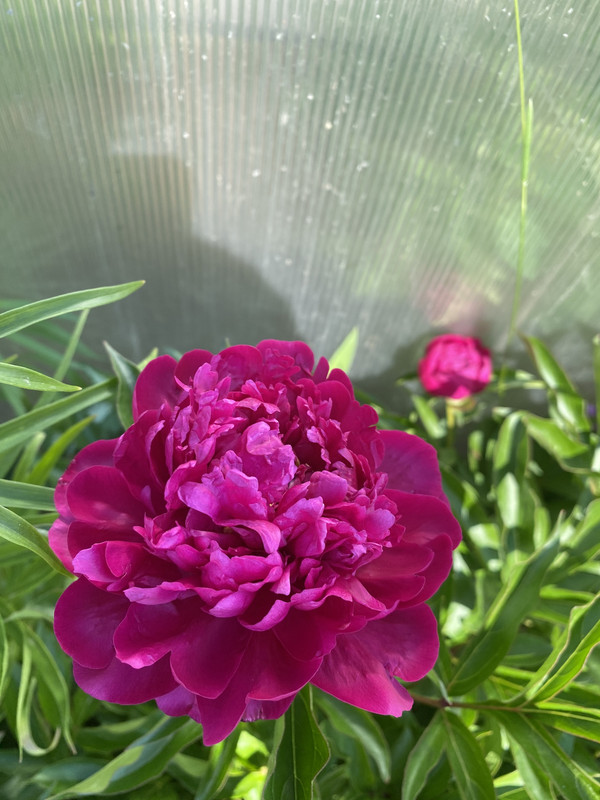 1B41E0F2-934A-4D00-B7B3-E134C280D6F5