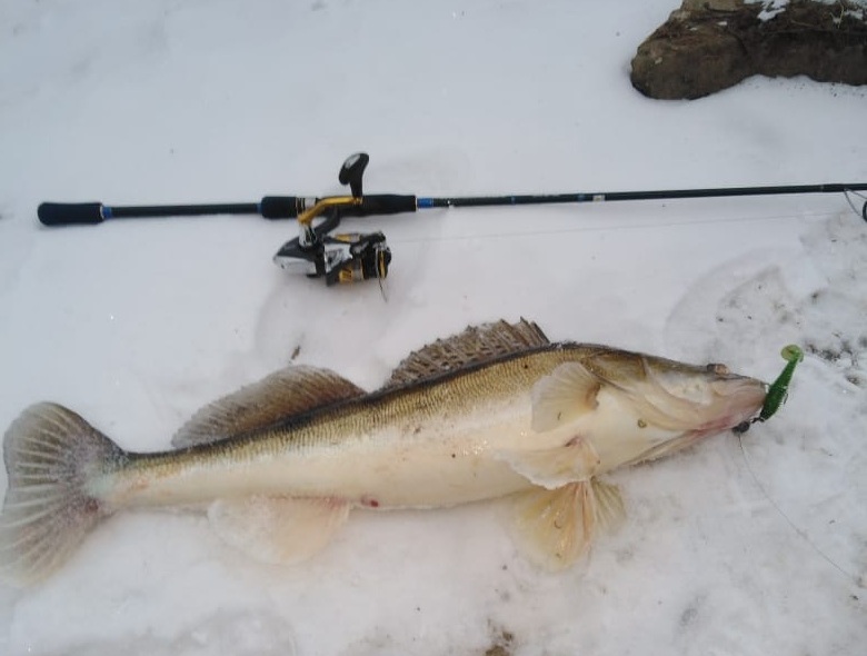 2 Костин Валерий Москва Ока джиг спиннинг рыбалка приманка для д