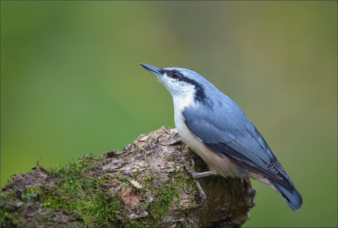 1765B5D1-5741-4D19-9BE3-08CB18DED778