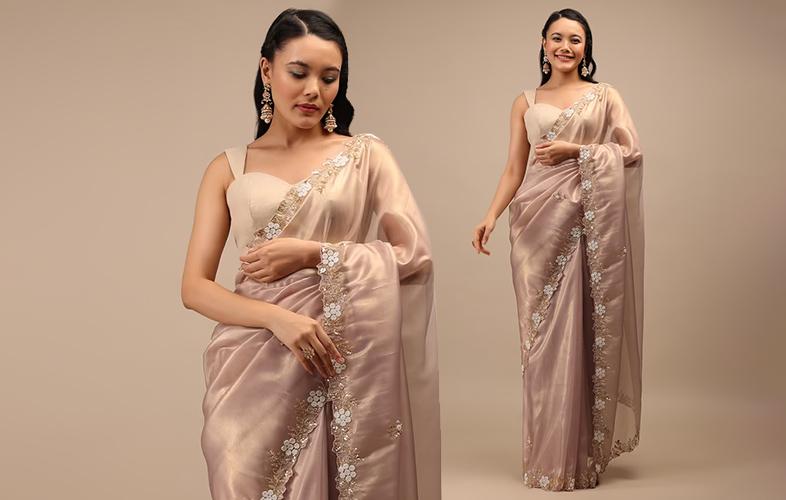 Tissue Sarees: Sparkling Royalty Tissue Sarees: Sparkling Royalty