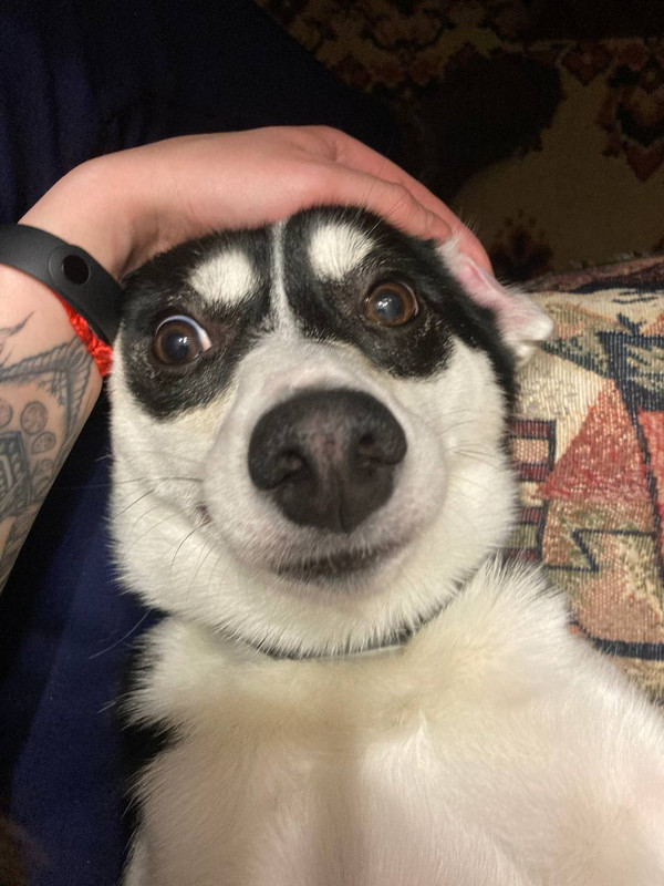 214F8904-6F9B-4839-B07A-5645A6EAA3AE