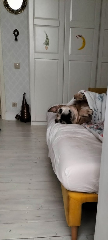 2C7B83A6-FDD8-4361-9993-4A2D40C850E2