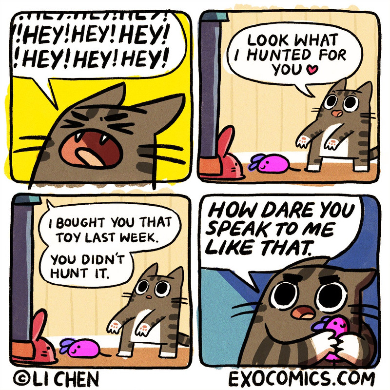 Cat and mouse toy