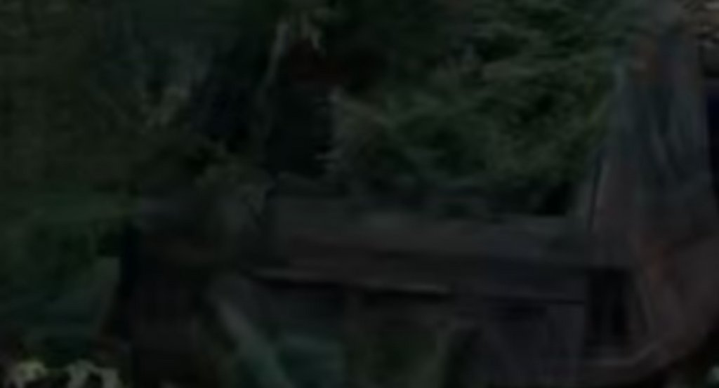 03 haute qualité 5000 zoom