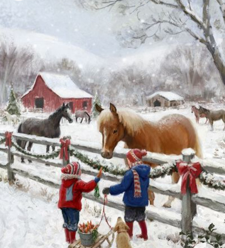 Screenshot_20230212_003010_Chrome