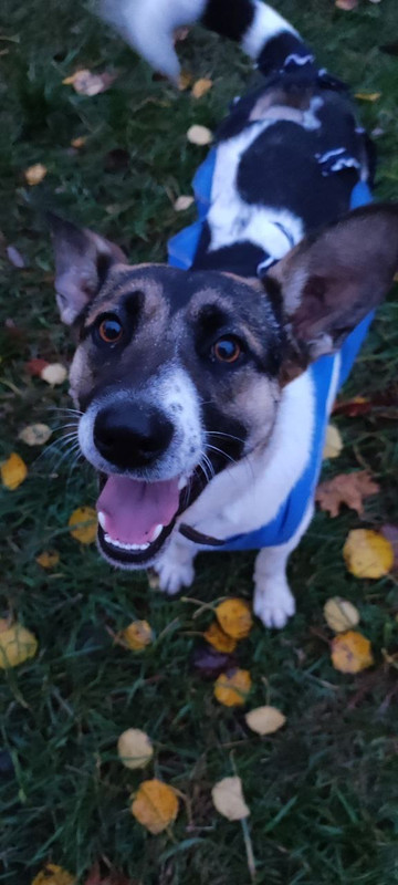 7A3F8609-BECA-4D22-86F8-DCA14076E309