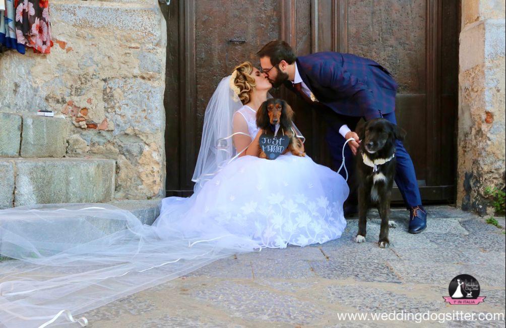 [Image: IMG-20210724-WA0002.jpg]