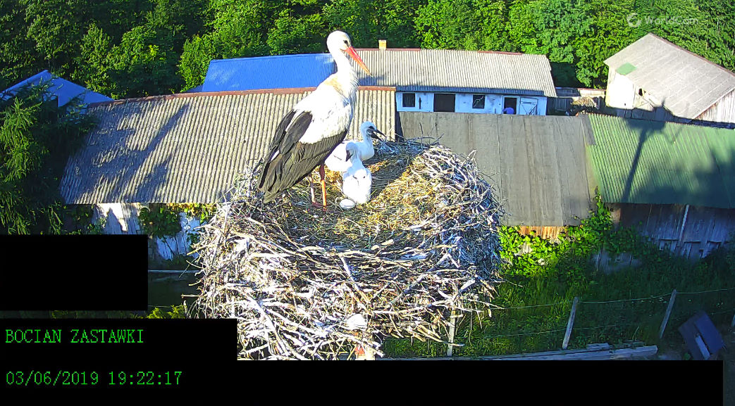 bandicam 2019-06-03 19-20-58-695