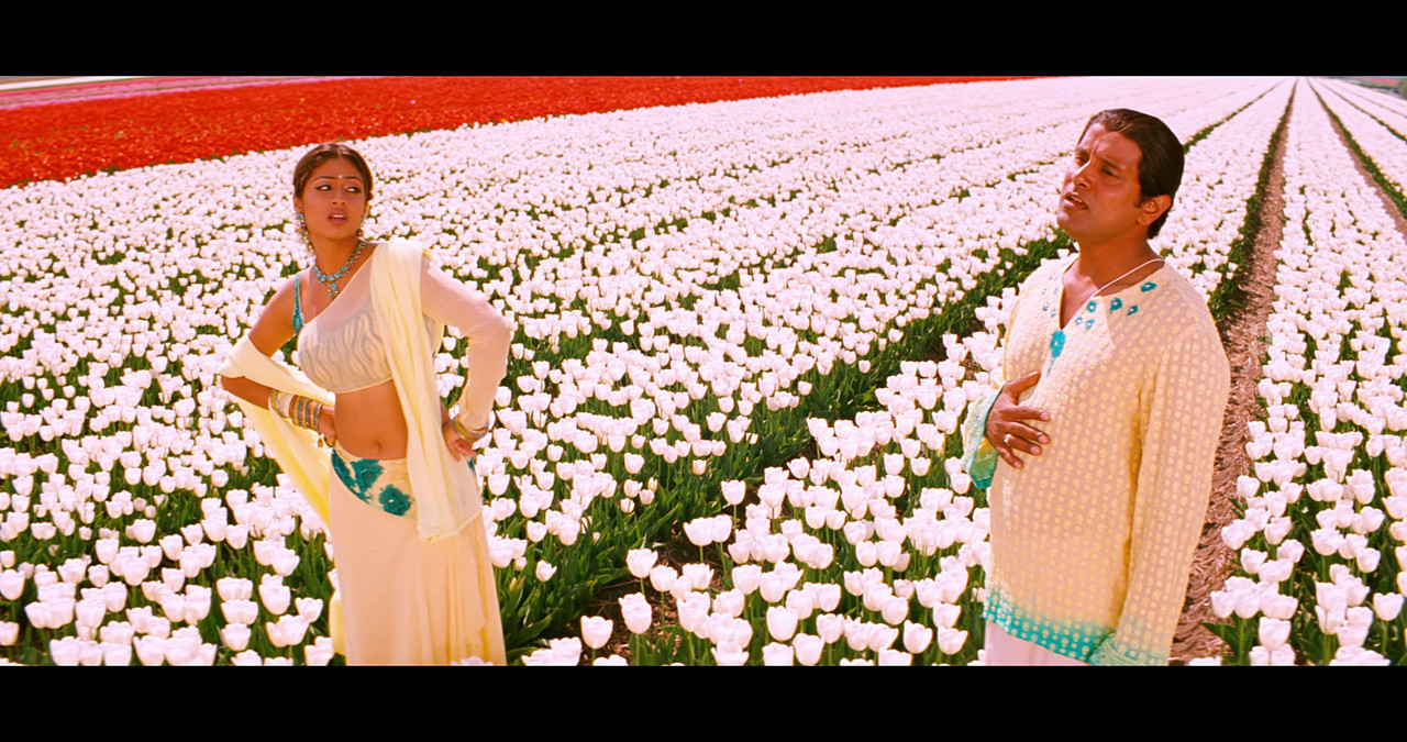 VideoCapture_20241122-195630