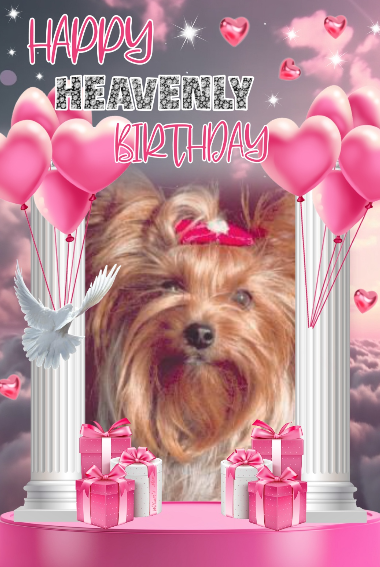 ( a 1 Anniv Pearle 1