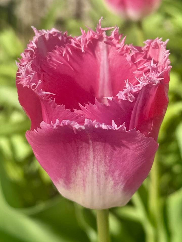 677782239-27519656200957078-1973543407769593723-n