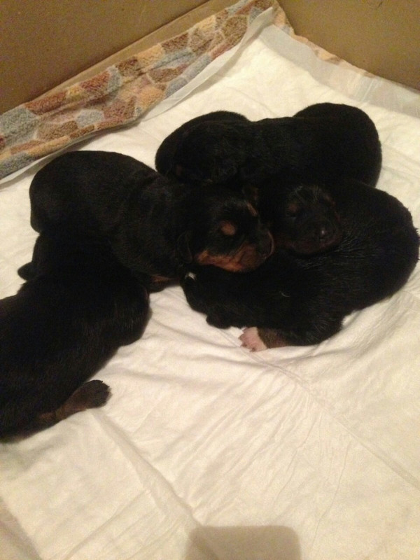 615C7811-E3A7-4D77-94AE-51CD7B0C11D6