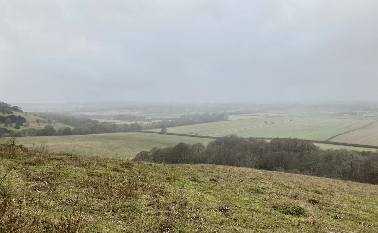 868EA8DE-8F79-4100-A758-73A1FC0B222C