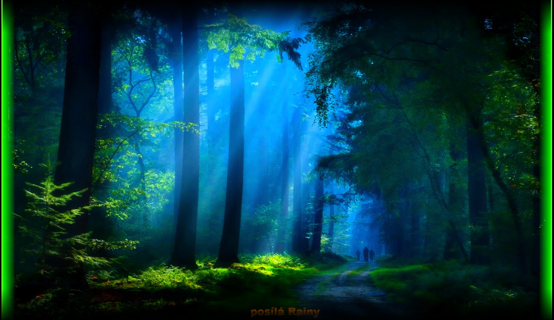 2881651-walking-nature-landscape-forest-dirt-road-sunbeams-trees-mist-path-sunlight-shrubs-landsca.jpg