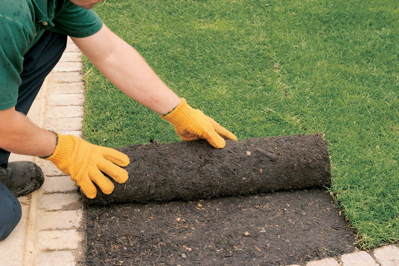 Critical Sod Installation 