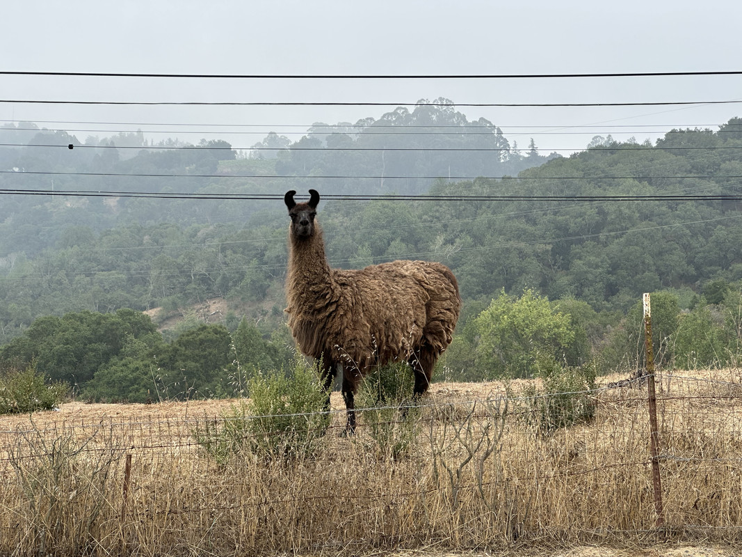 0CE2D6E6-BD17-4DAA-A6E3-2684AC012640