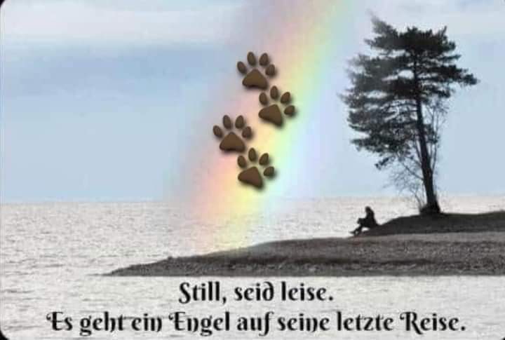 [Image: FB-IMG-1709575586320.jpg]