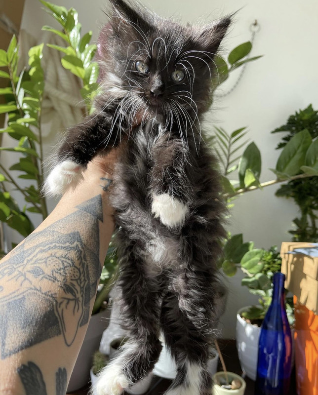 191B3F97-0BE7-42B7-B489-33115B668E0C