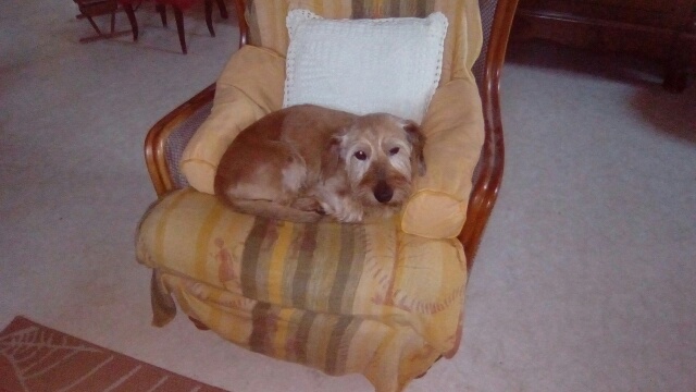 [Image: image15922485409251-1.jpg]