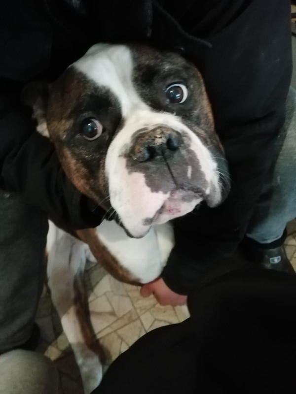 B28CC970-394C-4E8E-AB0F-28D82FE8E48B