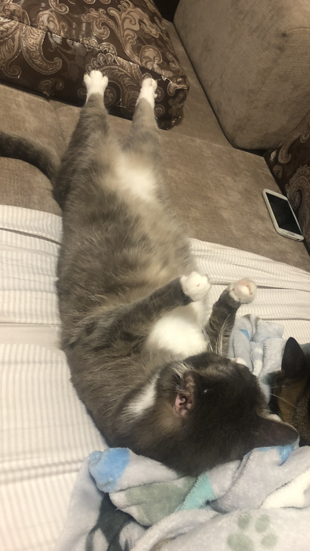 8AC7D929-907D-4076-A730-5BC9D3BD1901