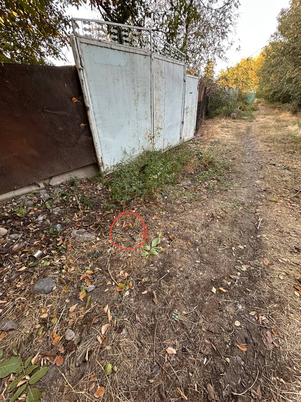 photo_2025-10-07_06-44-01