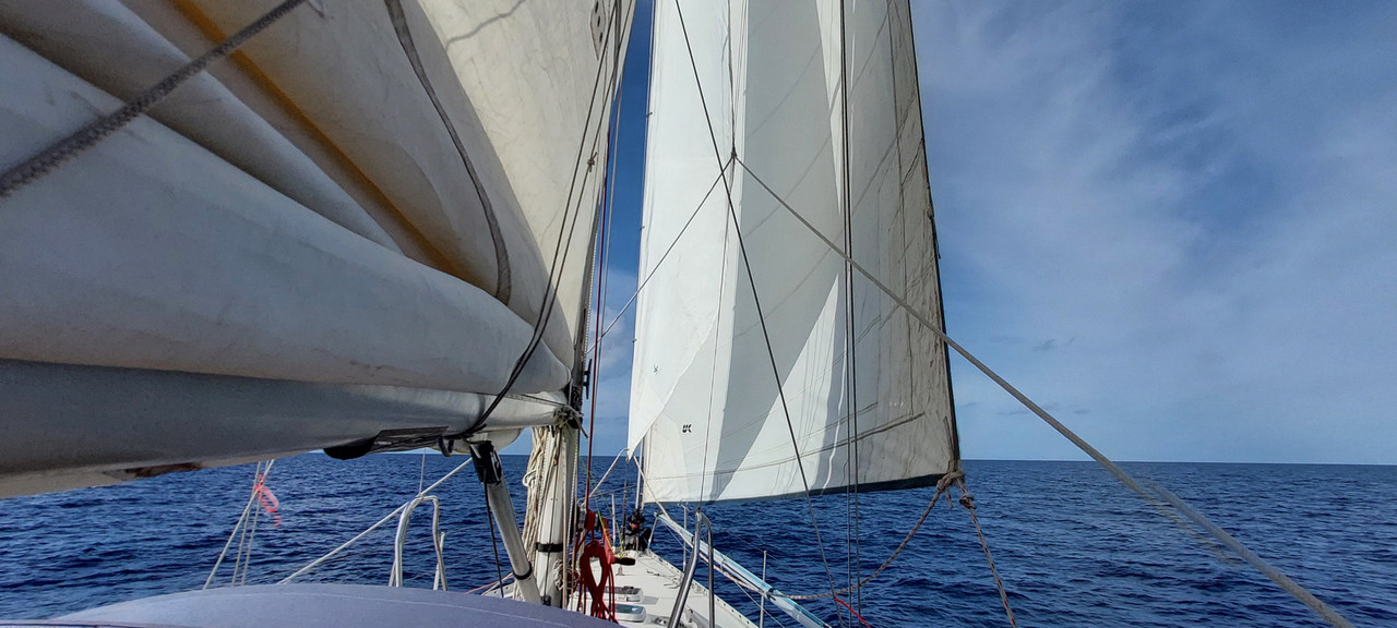 [Imagen: 20251030-102118.jpg]