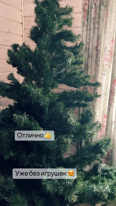 Innavolovicheva Instasaved 12 02 2024 Postimages