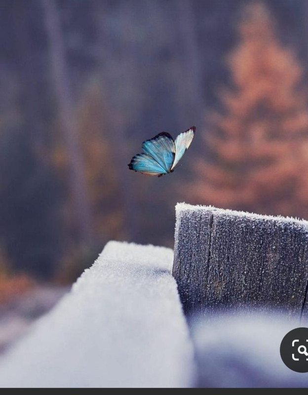 Screenshot_20230329_003155_Pinterest