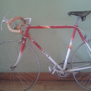 1475897_1022994701050660_7168572739586081178_n (1)