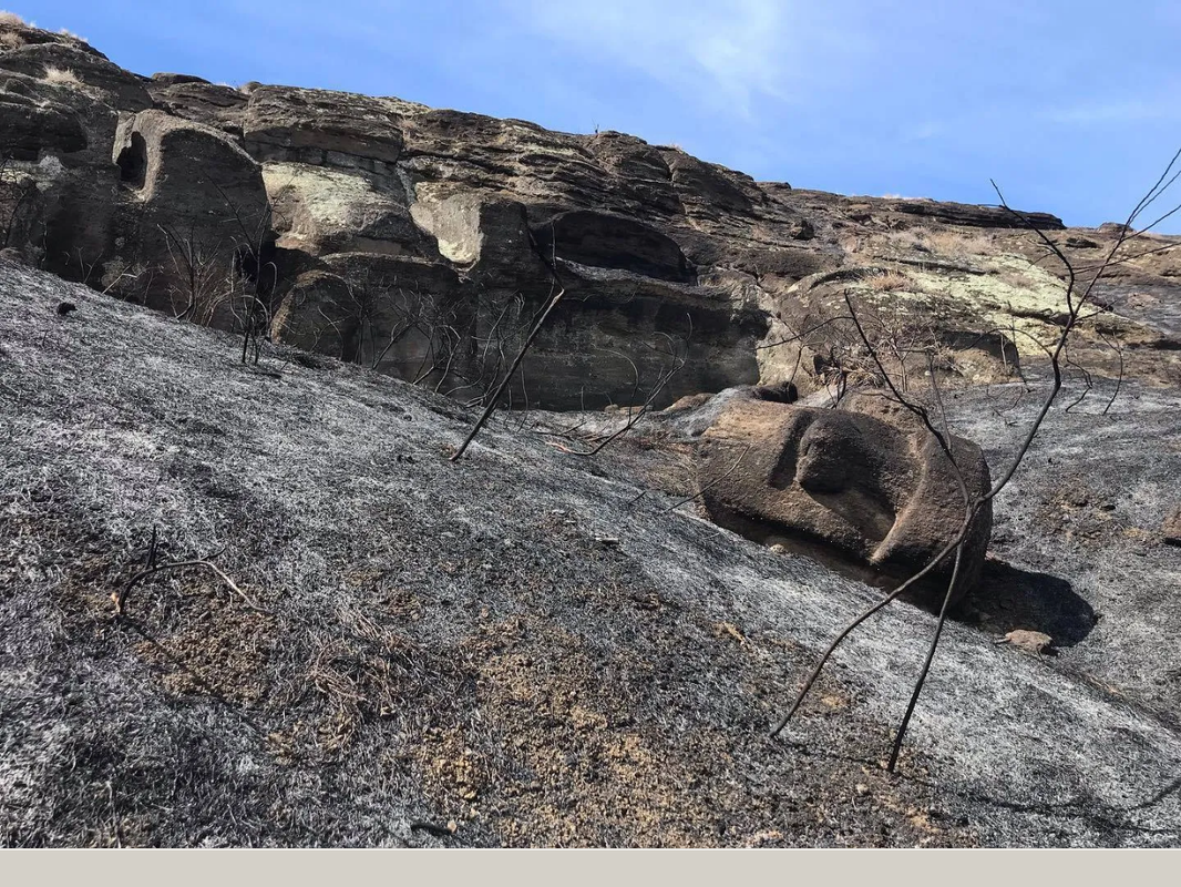Unesco evaluará daños a moais en la Isla de Pascua