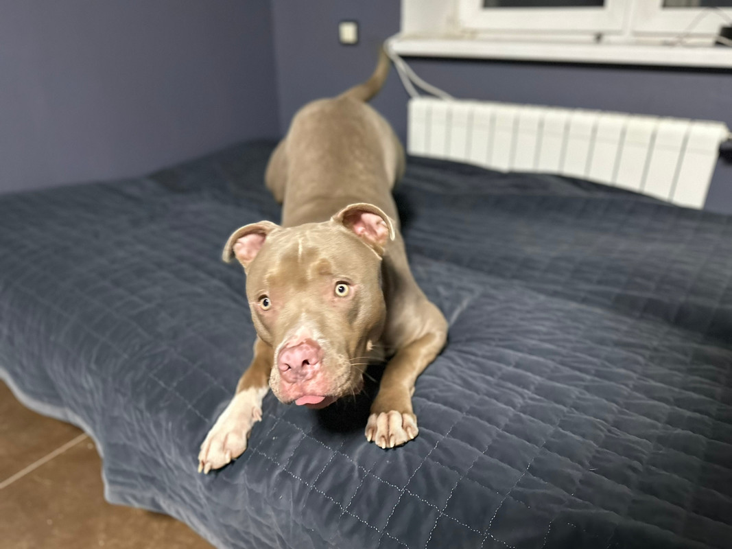 349752C2-255E-4106-87A5-2CEBB4555A69