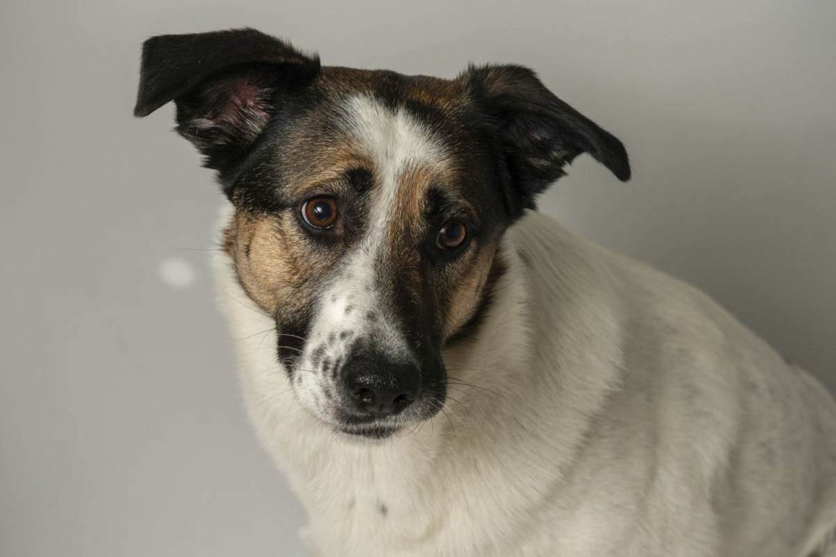 IMG_20240318_111816_080