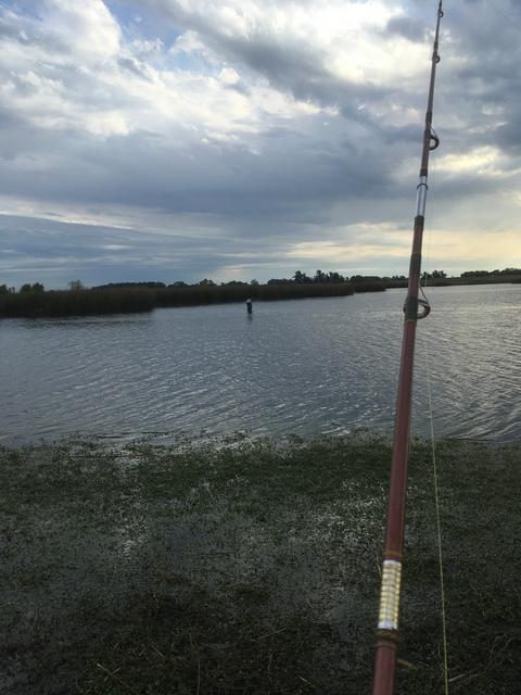 ABF179D9-84CE-47C4-8581-6D31C4CA1964