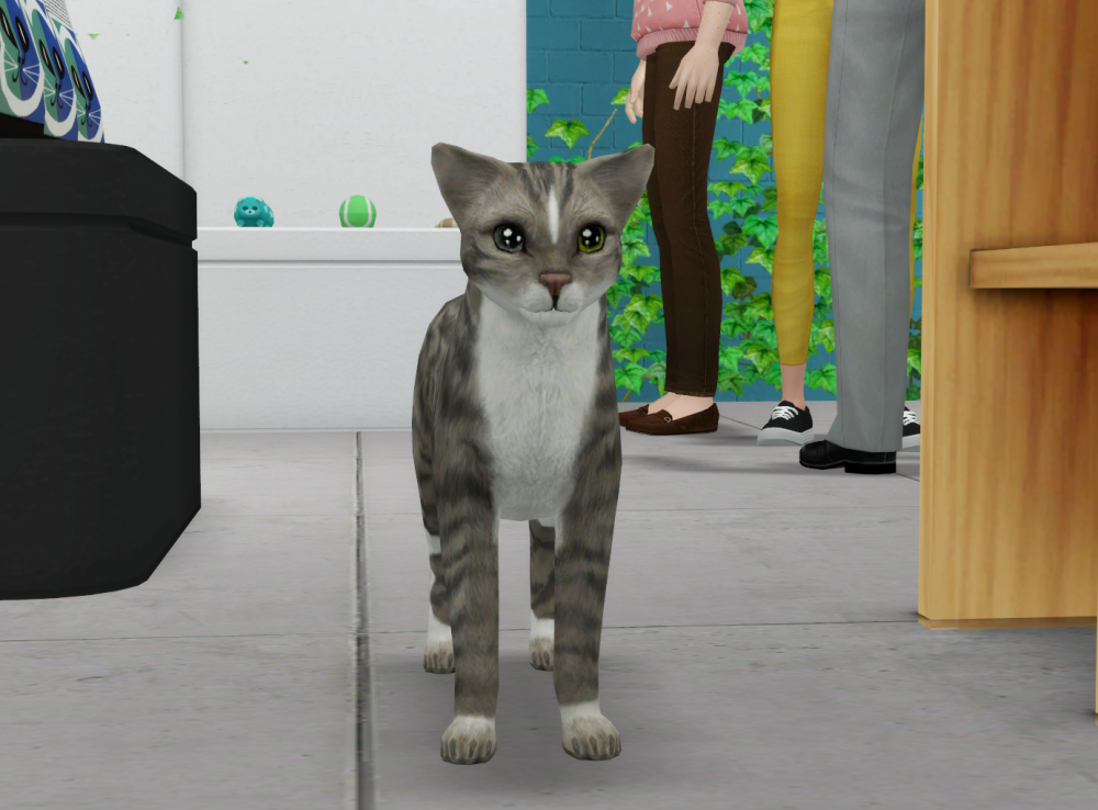 Sims2-EP9-RPC-2022-05-05-23-01-07-75