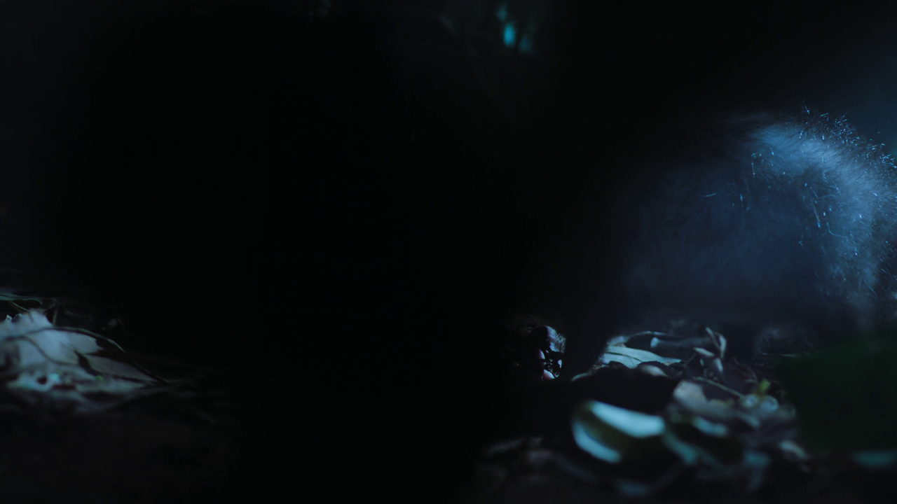 vlcsnap 2025 10 28 09h50m26s773