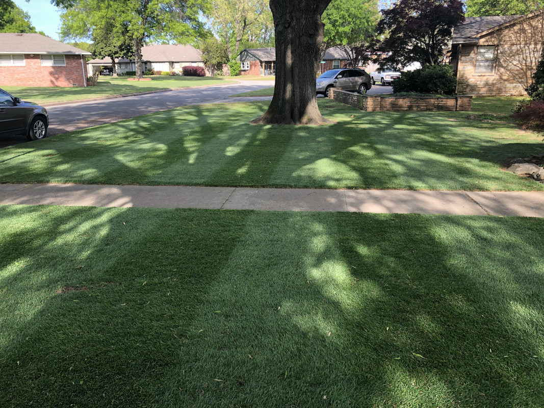 08BC41E8-CCA0-41DE-A382-E33E11F4D36A