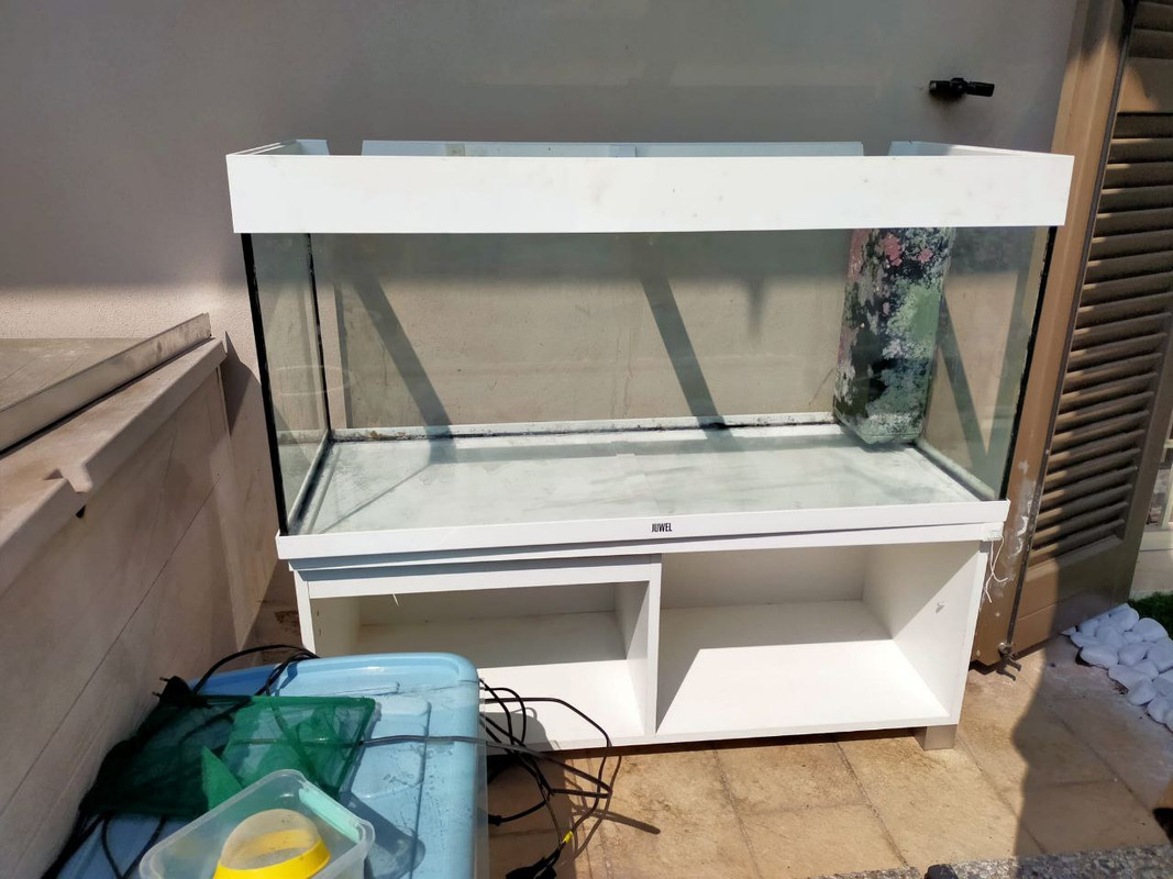 1B35DDC0-D324-4222-B625-CC2DE78C6E84