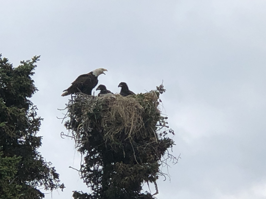 0D8A784A-72CE-47B0-866F-CA4978EB93B0