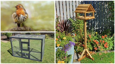 Bumper bird pack, Bird Table, Small aviary & British Birds