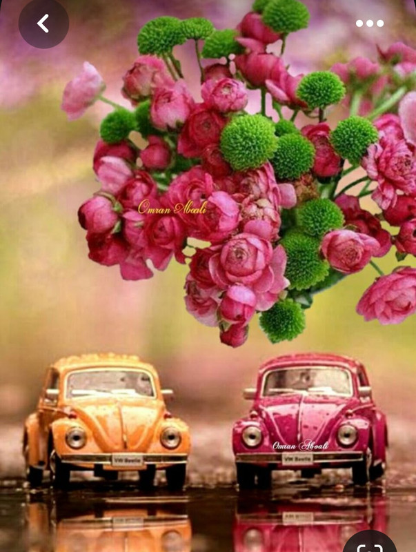 Screenshot_20230712_005817_Pinterest