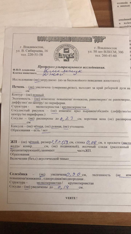 узи1