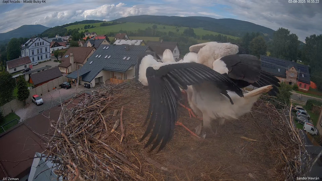 Tiešraides kamera — Mladé Buky — stārķa ligzda 4K 12-18-16 screenshot