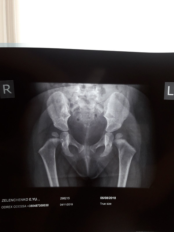 изображение_viber_2019-11-28_20-36-21