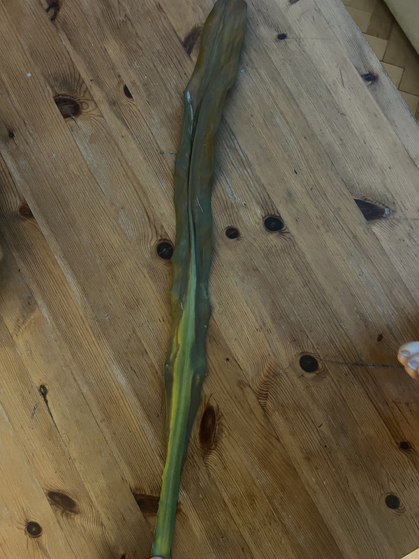 B4498654-B1EC-4EA3-A863-C04F778D6C3F