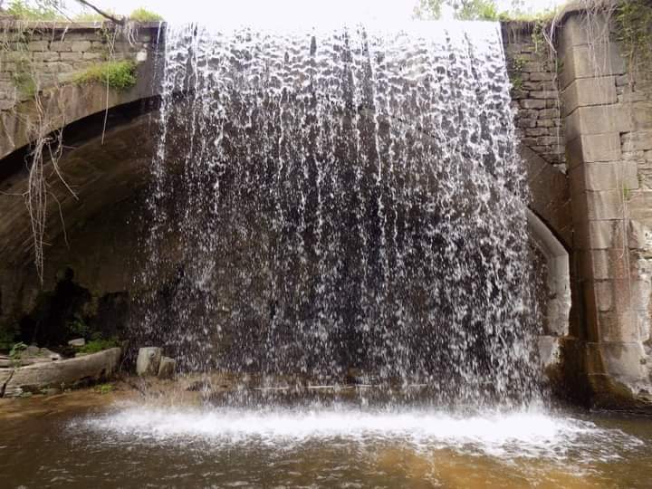 FB_IMG_1620492265720