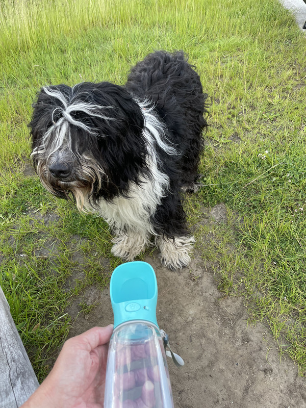 0598970D-1D6C-45C2-93A7-DD0328E48E50