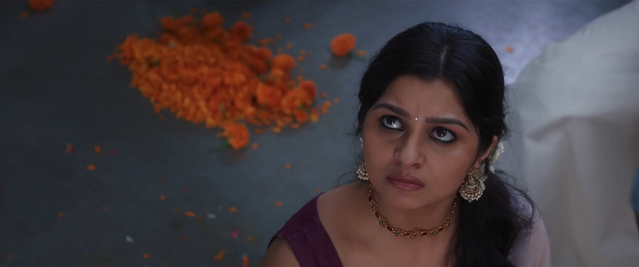 Padakkalam 2025 WebRip [Hindi + Tamil + Telugu + Malayalam + Kannada] 480p 720p 1080p ESub Screenshot