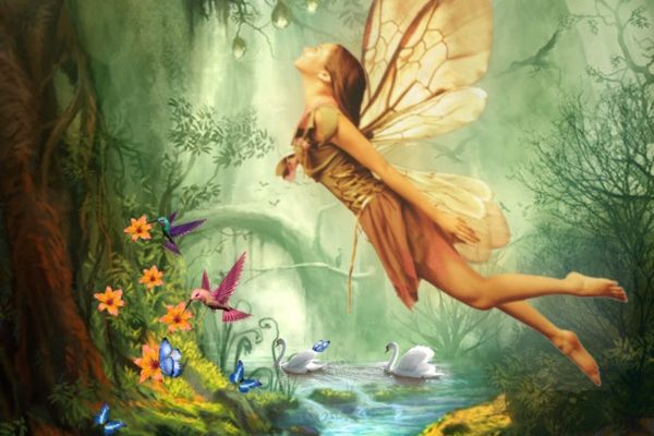 23bc7917818515c310c9c6d8590caf77 600x400